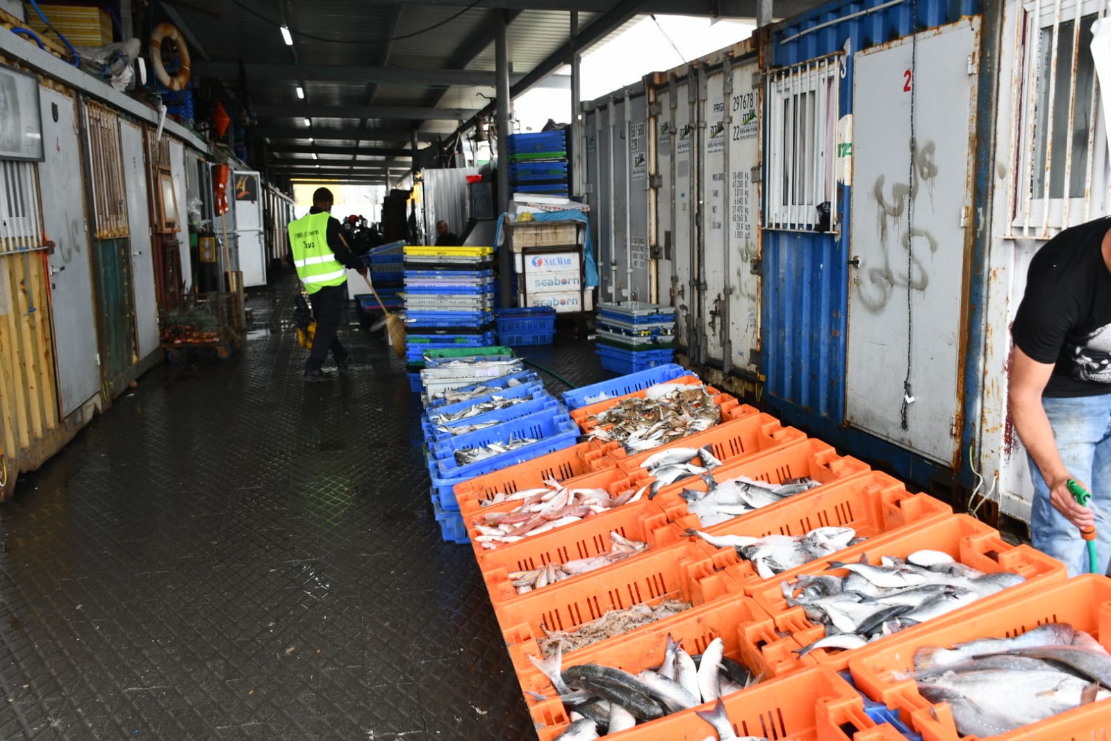 WhatsApp Image 2020-05-18 at 2.29.42 AM (2).jpeg.jpeg